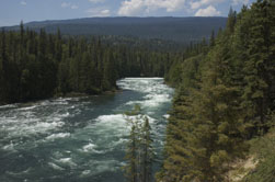 De woeste Clearwater river baant zich een weg door Wells grey Provincial Park in British Columbia, West Canada