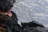 Tussen de rotsen is de vulkanische oorsprong van het eiland goed te zien