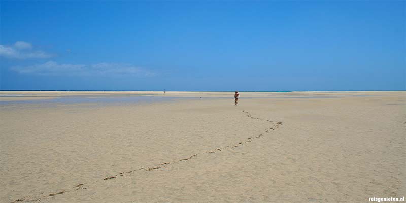 Een enorm strand helemaal voor jezelf op het Canarische Eiland Fuerteventura