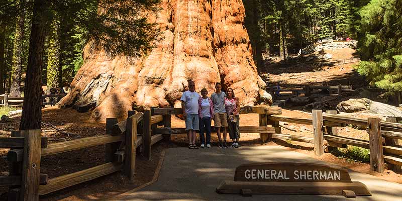 Een Amerikaanse familie posseert voor de General Sherman, de grootste boom ter wereld