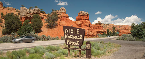 Dixie National Forest