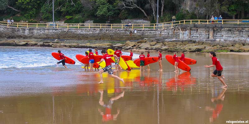 Een nieuwe lichting strandwachten traint op het strand in Sydney