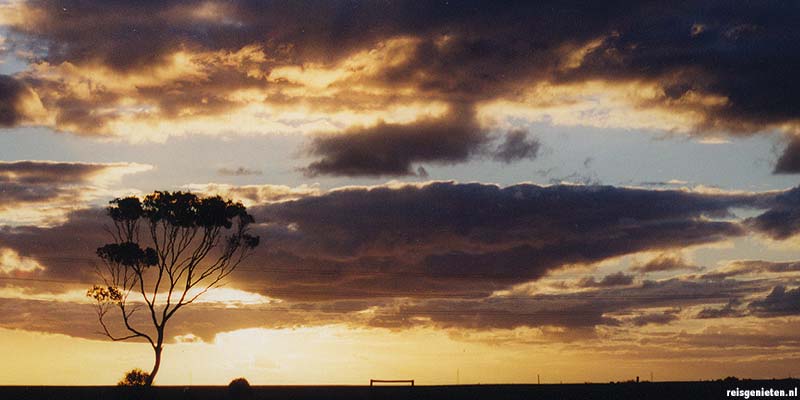 Zonsondergang in de Outback
