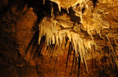 De bekende grotten van Han in de Belgische Ardennen