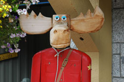 Canadese Mountie