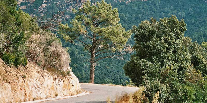 Een kronkelende bergweg in het binnenland van Corsica