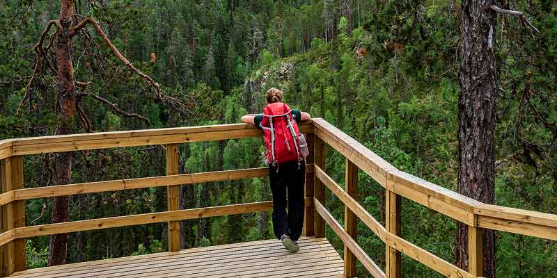 Wandelen in Oulanka National Park in midden Finland