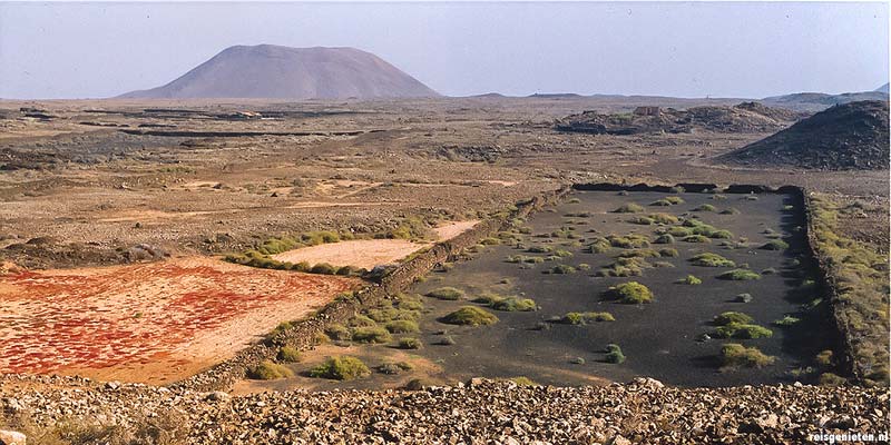 Een schraal stukje landbouwgrond in het binnenland van het Canarische Eiland Fuerteventura