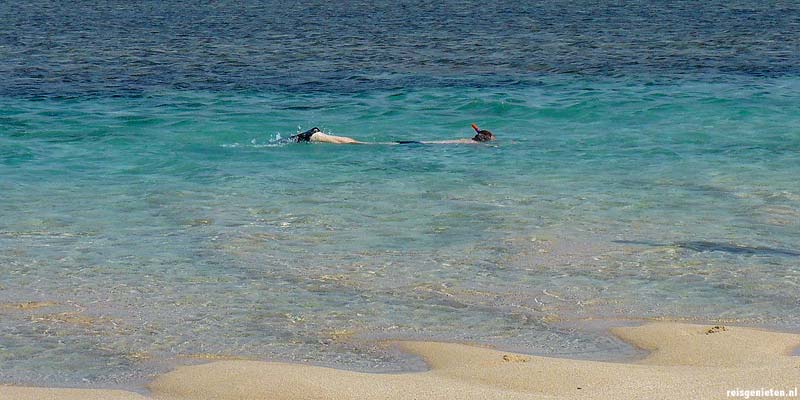 Snorkelen in Australie