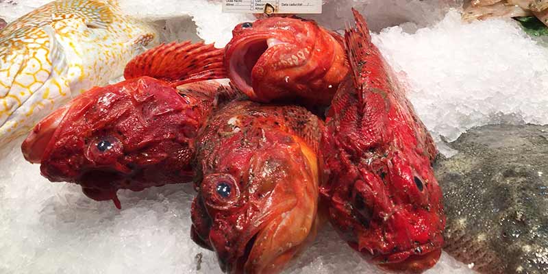 Verse vis in de Mercat de la Boqueria in Barcelona