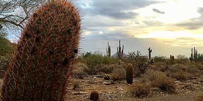 Het zuiden van Arizona