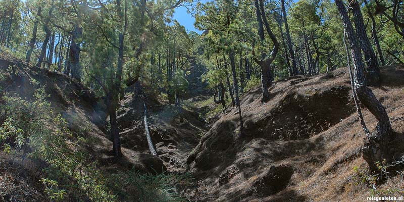 Caldera de Taburiente Nationaal Park landschap