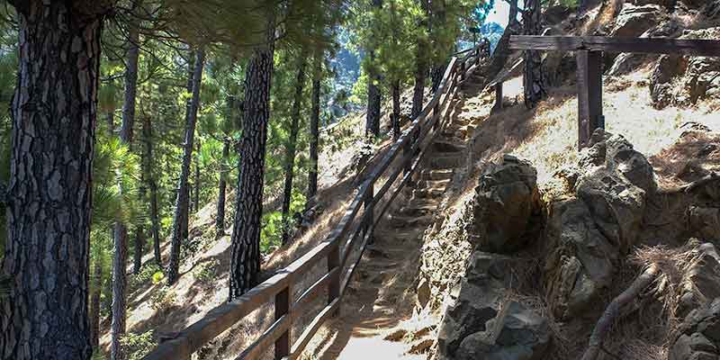 Wandelen Caldera de Taburiente Nationaal Park