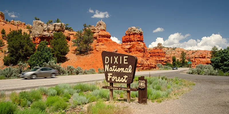 Dixie National Forest width=