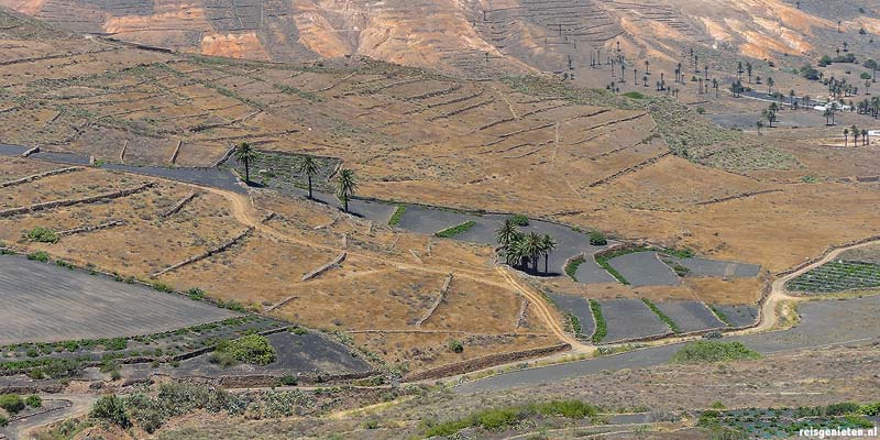 Haria en het Dal van de Duizend Palmen, Lanzarote