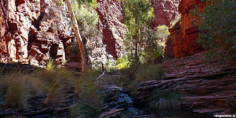 Kloven in Karinjini NP