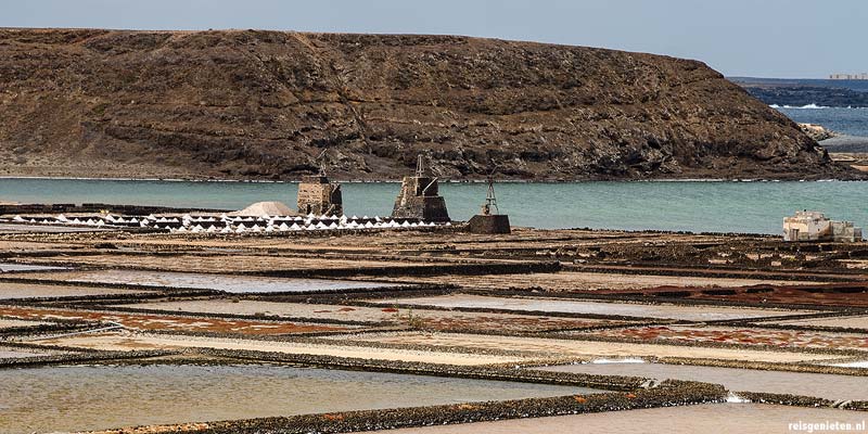 Zoutpannen van Janubio, Lanzarote