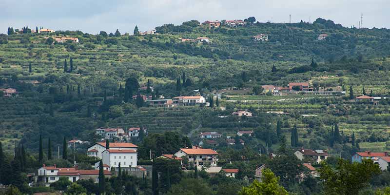 De omgeving van Piran in Slovenie