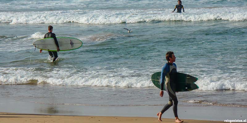 Surfers op Manly Beach in Sydney, Australie
