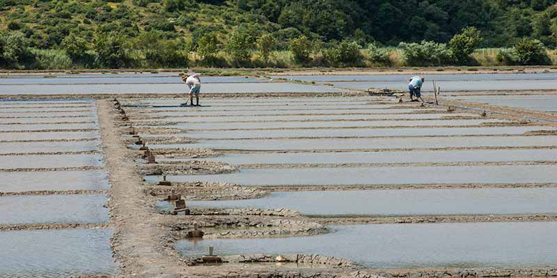 Saline op de grens Slovenie Kroatie aan de Adriatische Zee
