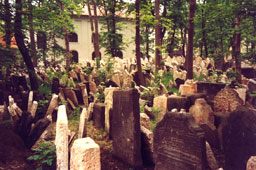 Oude Joodse begraaflaats in de wijk Josefov in Praag, Tsjechie